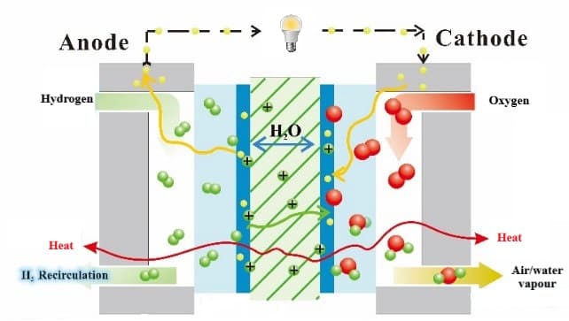 proton exchange membrane fuel cells